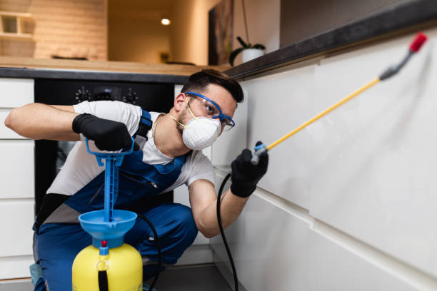 Best Mosquito Control Services  in Dale, IN