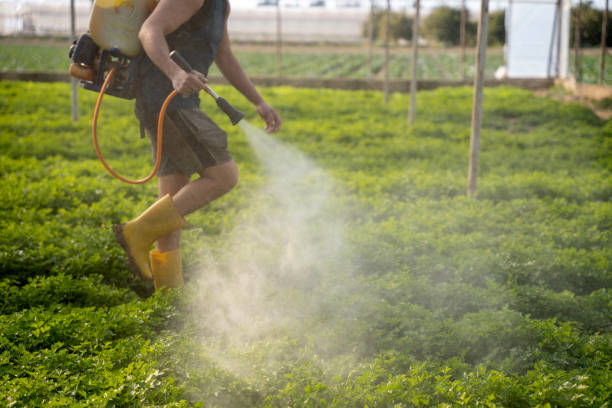Best Mosquito Control Services  in Dale, IN