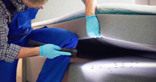 Best Pest Removal Services  in Dale, IN