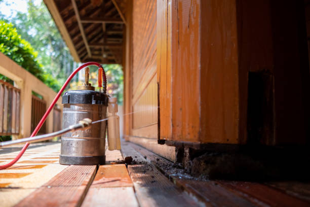 Best Termite Control Services  in Dale, IN