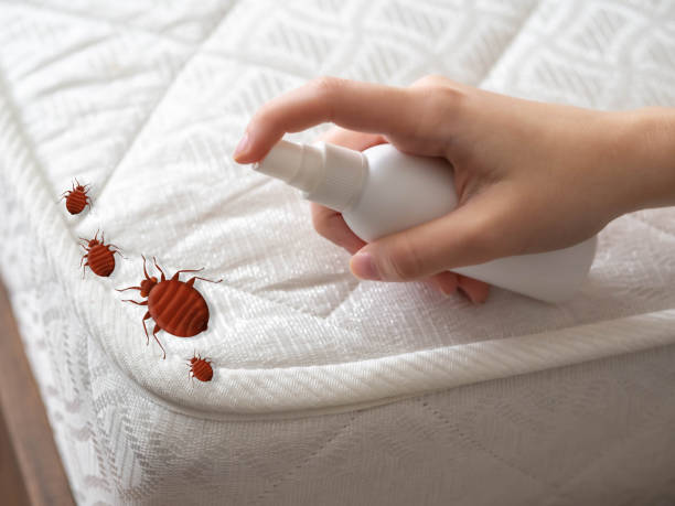 Best Commercial Pest Control Services  in Dale, IN