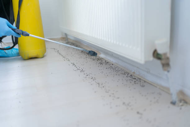 Best Bed Bug Extermination  in Dale, IN