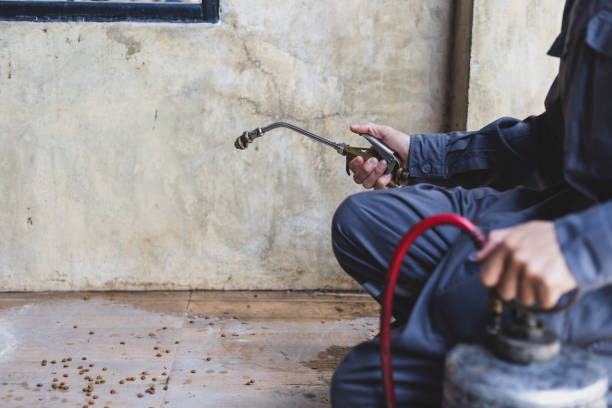 Best Wasp Removal Services  in Dale, IN
