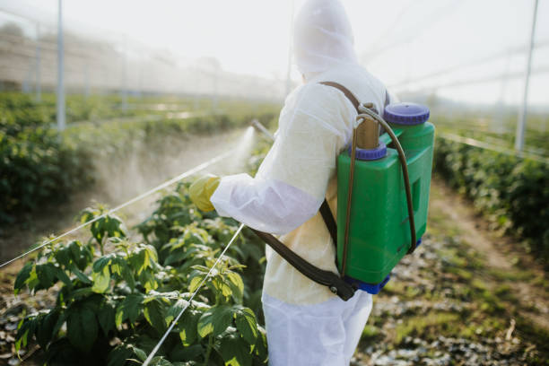 Best Insect Control  in Dale, IN